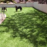 Synthetic Lawn Pet Turf Company Poway, Best Artificial Pet Turf Pricing