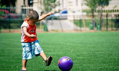 Top Rated Synthetic Turf Company Poway, Artificial Lawn Play Area Company