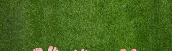 ▷5 Reasons All-Weather Grass Is Better Than A Live Lawn Poway