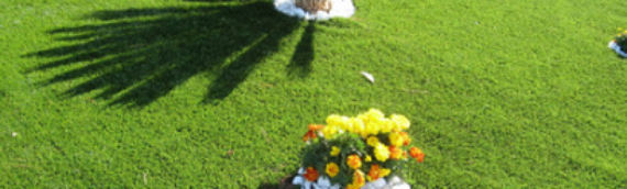 ▷5 Advantages Of Sustainable Landscape Turf For Your Company Poway