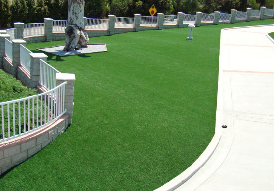 Top 5 Considerations Before Purchasing Artificial Grass In Poway