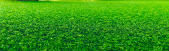 ▷3 Reasons You Should Not Use Harsh Chemicals On Artificial Grass In Poway